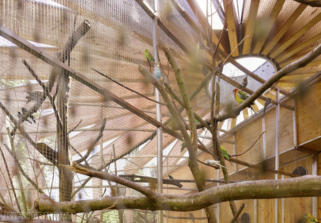 Öhringen动物园内木结构建筑工程丨德国-42