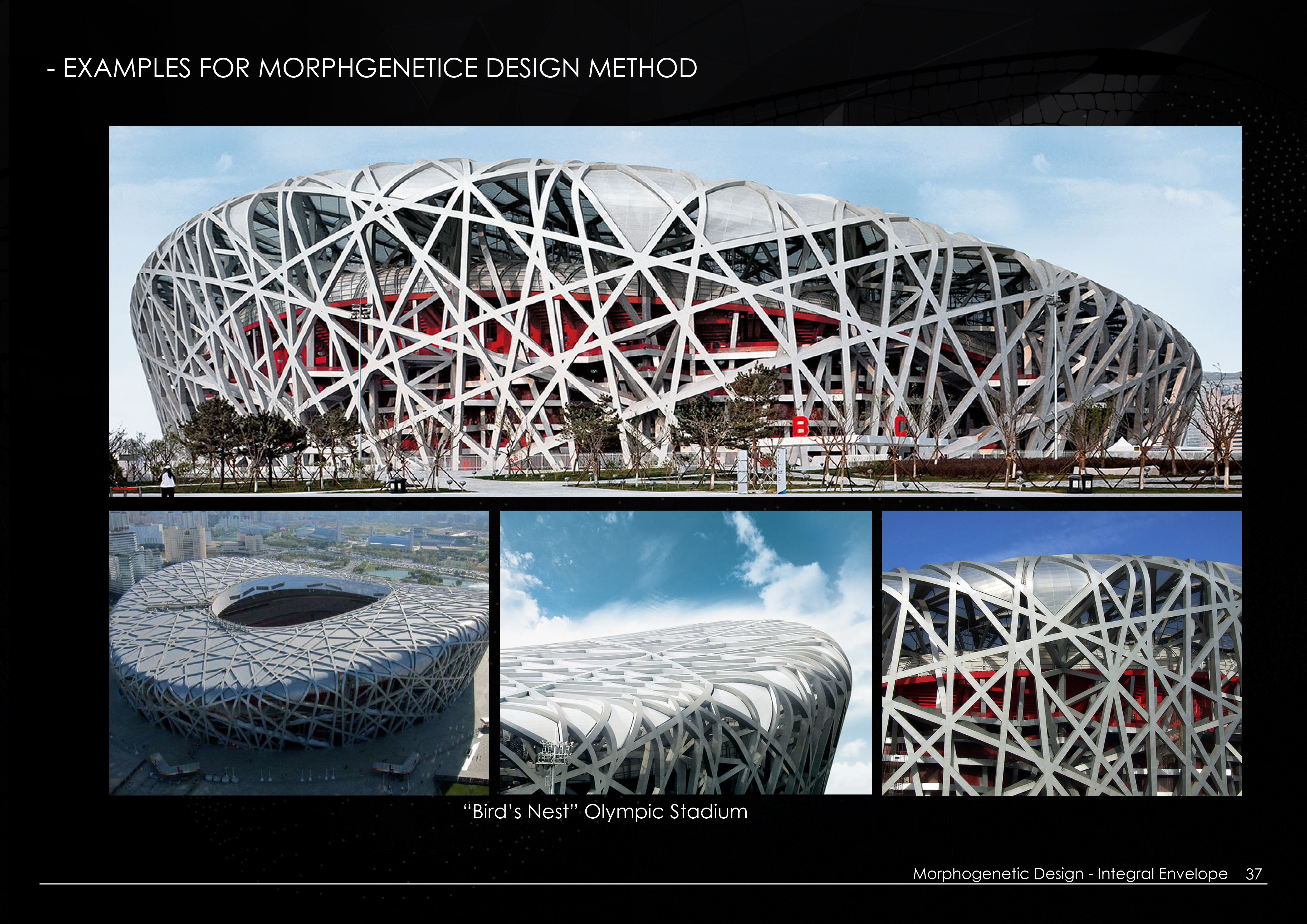 Morphogenetic Design - Integral Envelope July 2020-25