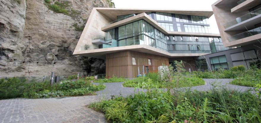 岩石中的城市绿洲-0