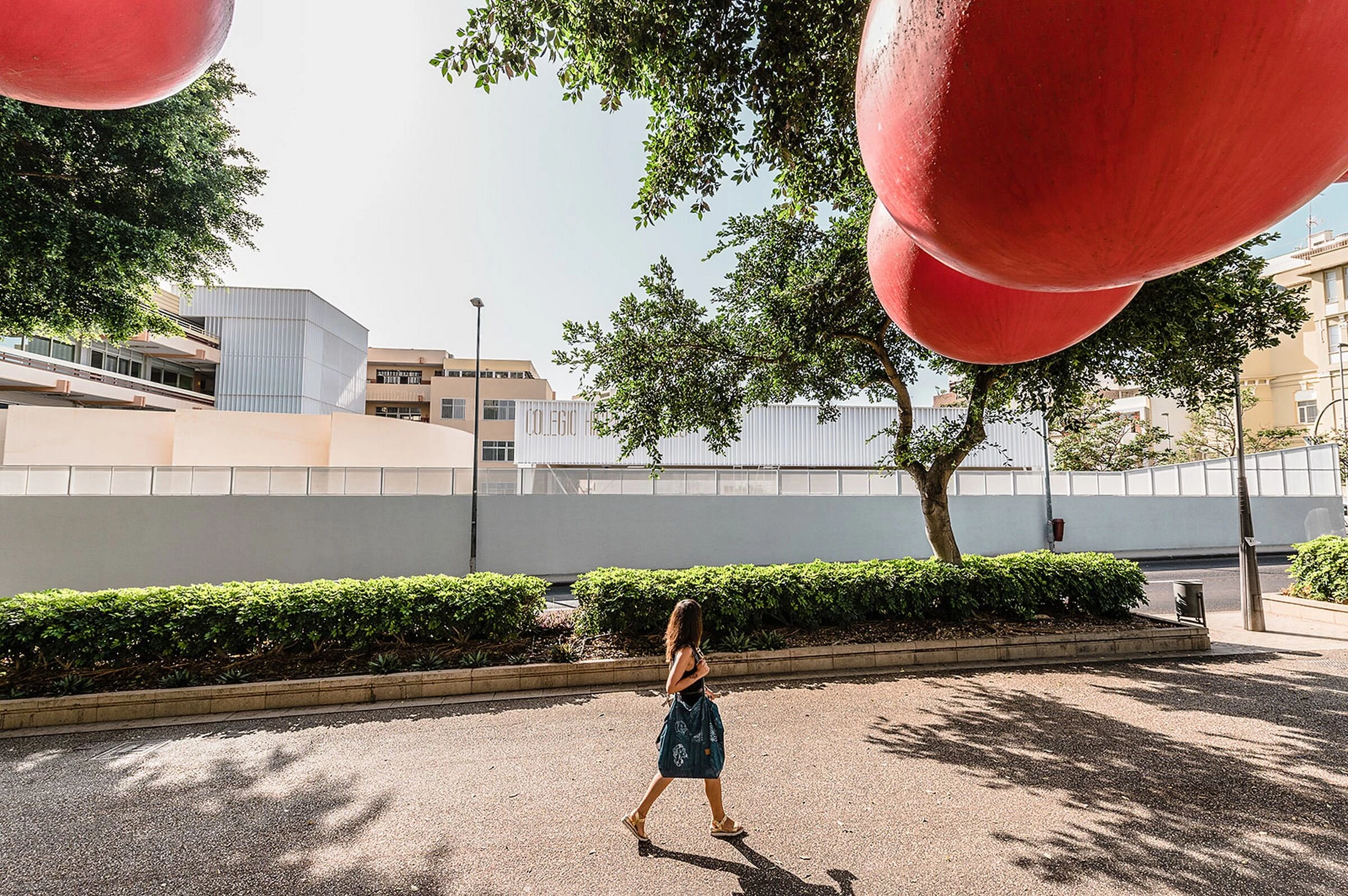 西班牙英语学校的体育运动丨西班牙丨Equipo Olivares Arquitectos-16