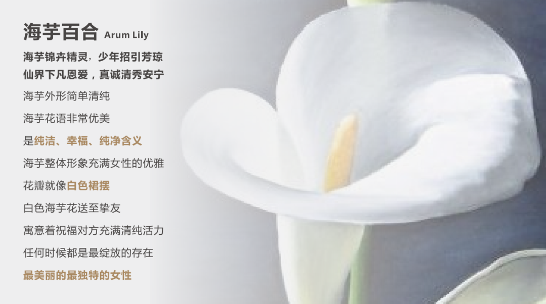 菁莘荟女子会所丨东创设计-1