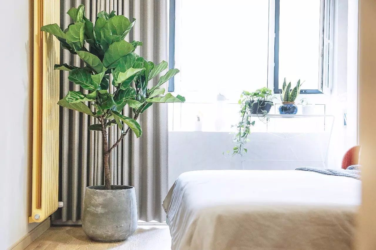 65 岁老太打造 107㎡前卫北欧风家居,成为年轻人羡慕的模样-37