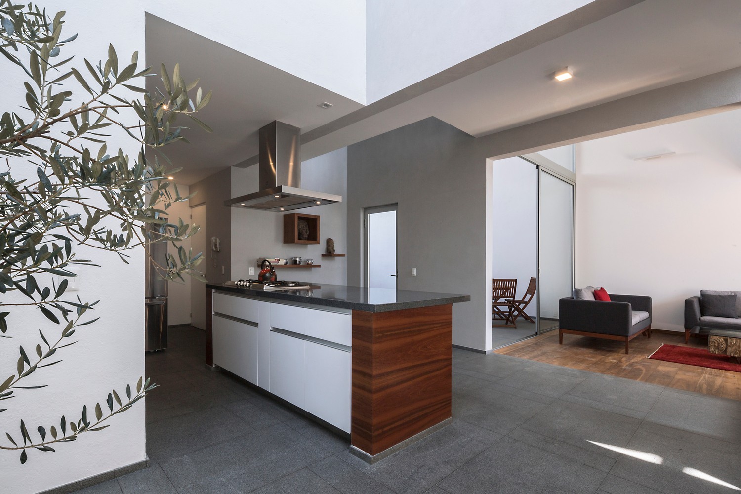 建筑是时间和空间的见证——墨西哥别墅  Alexandro Velázquez Moreno-5