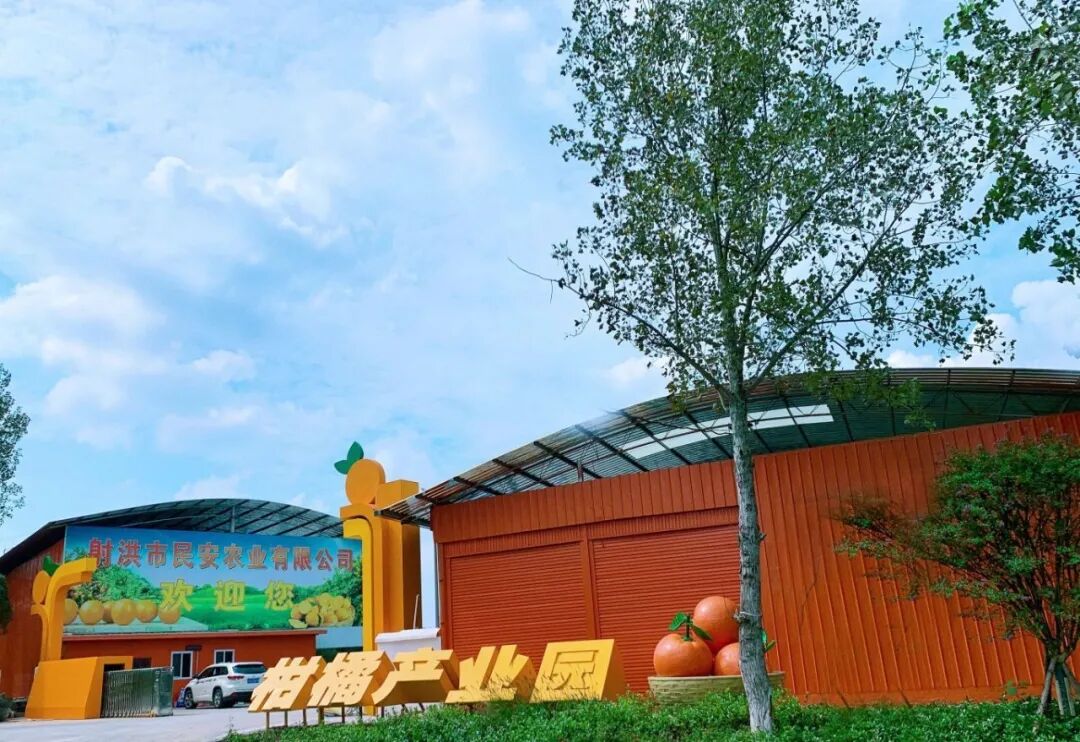 设计空间|文旅名镇，城乡融合——“明星镇”集镇更新-45