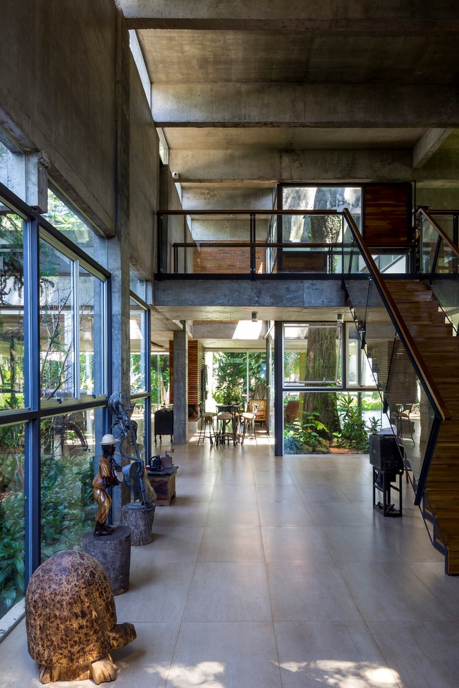 房子之间的树-21