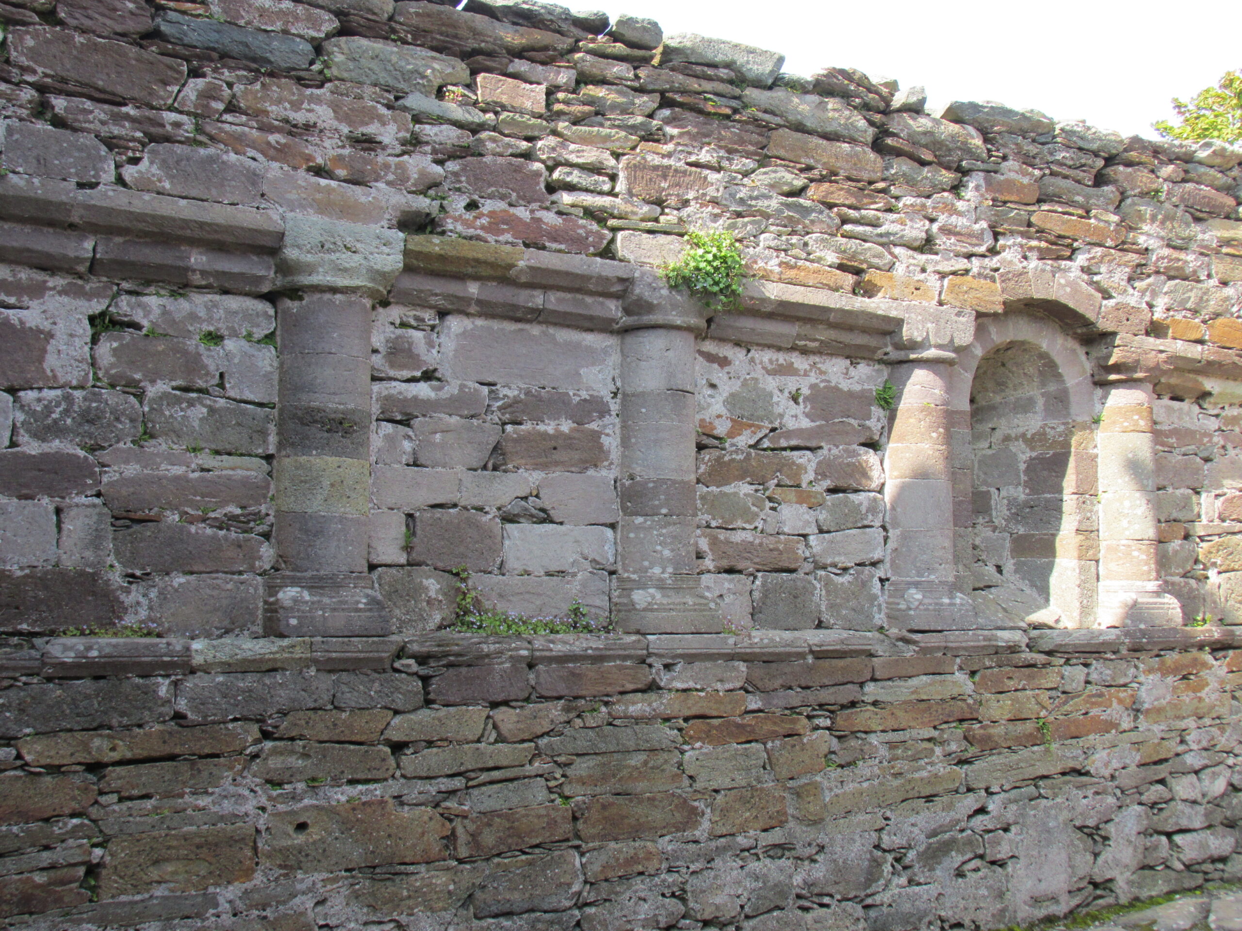 丨IrelandKerry丨无相关信息-10