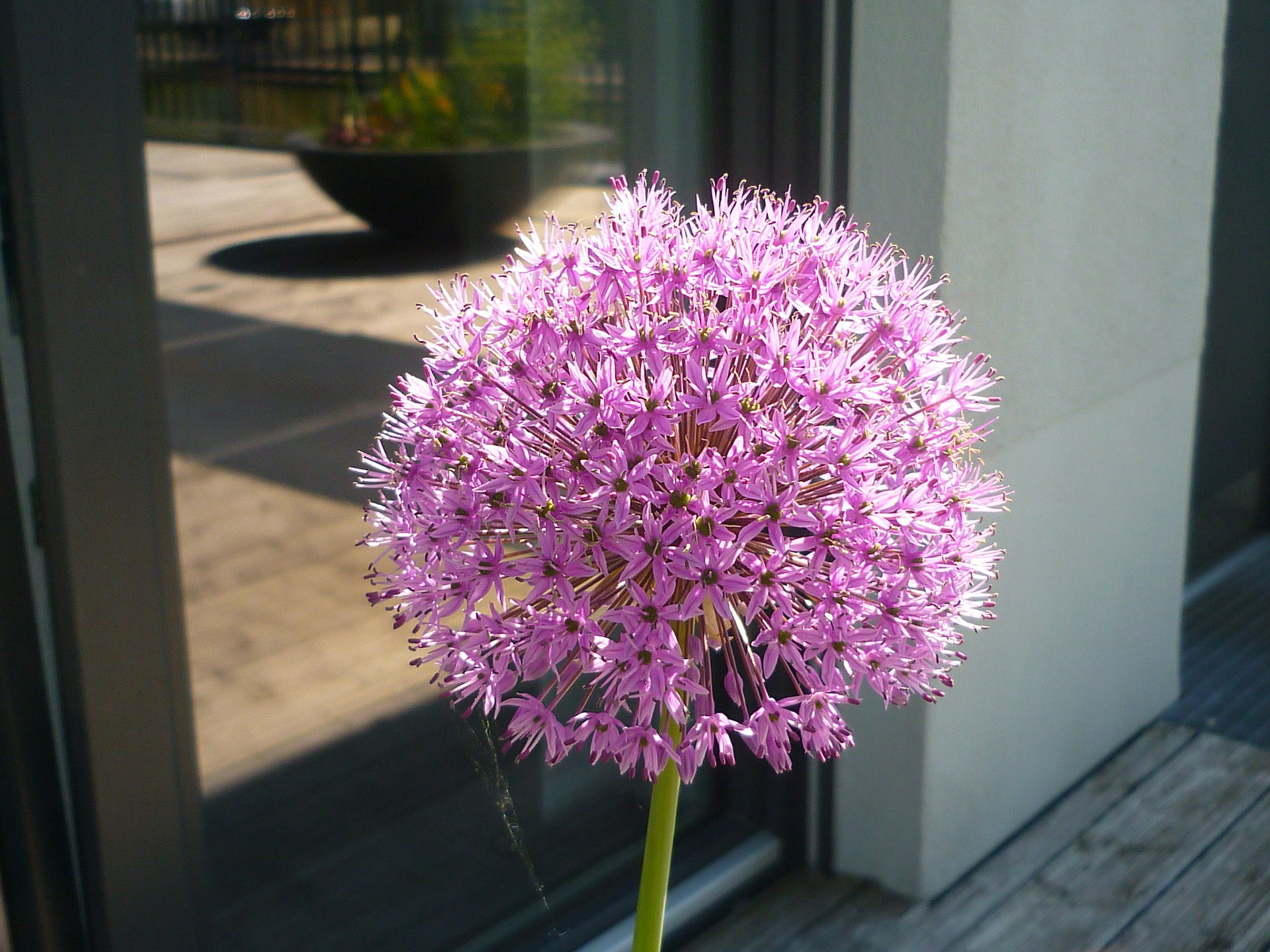 水边露台庄园丨Jörg Kaspari-2