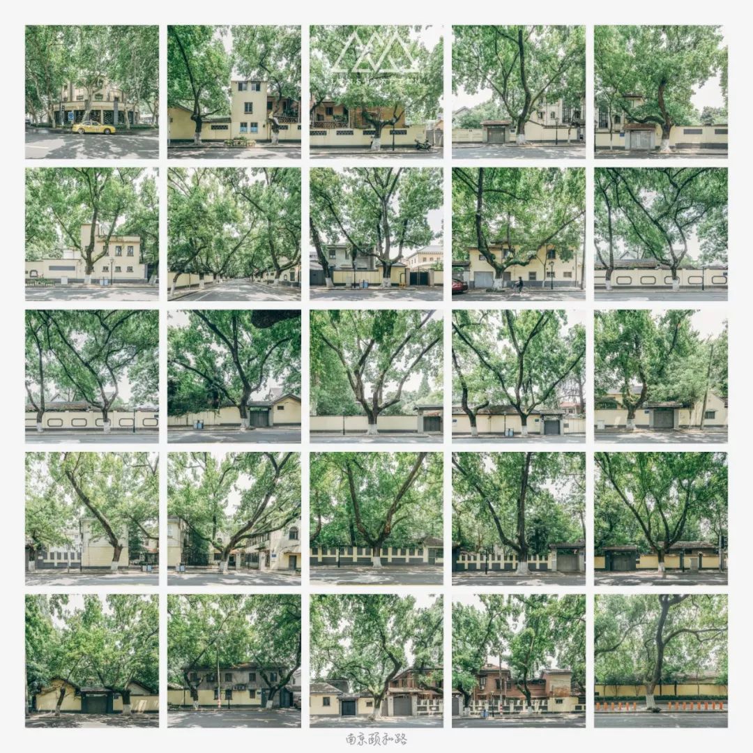 南京老城区建筑风情录 | 穿越时空的民国韵味-94