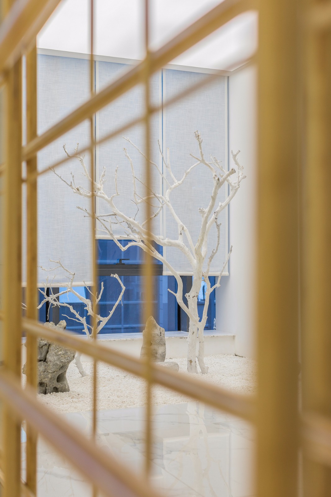 常州美丽王朝皮肤管理中心  仓石设计-10