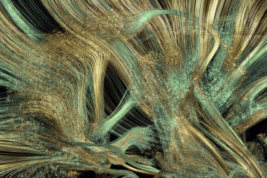 神经艺术 · 探索科学可视化的创新之路-10