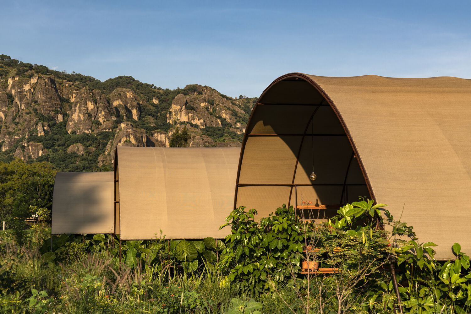 有机餐厅环保设计-5