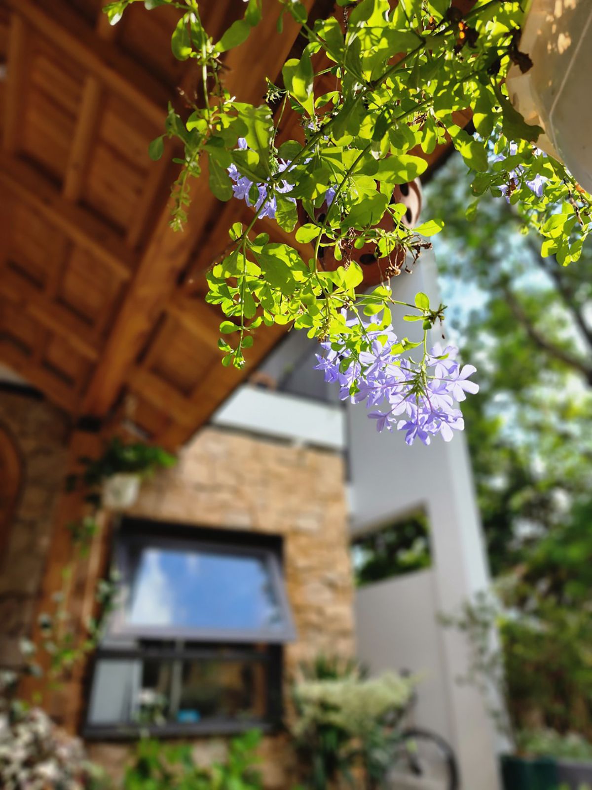 绿意盎然的家庭乐园 | HOH 建筑与 construction-29