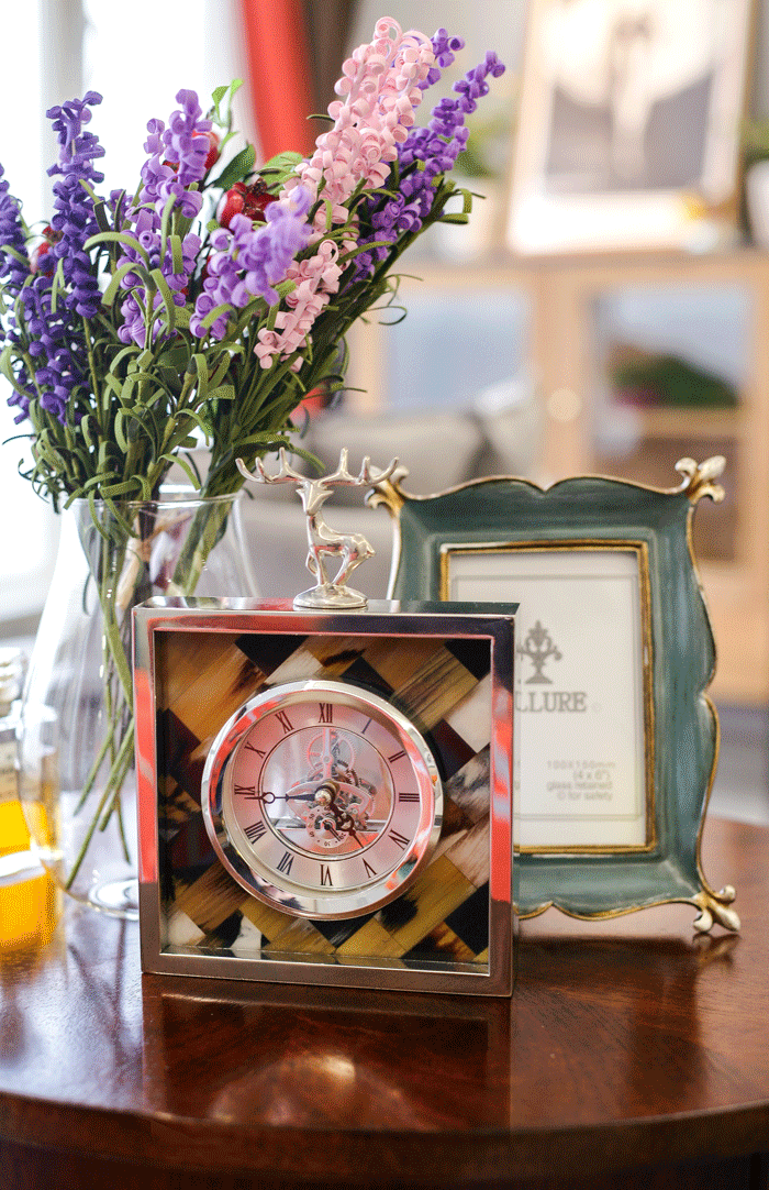 湖畔佳人的独墅九栋之梦-14