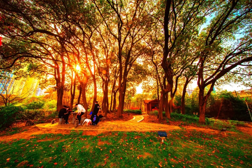 黄石磁湖西岸韧性景观设计-0