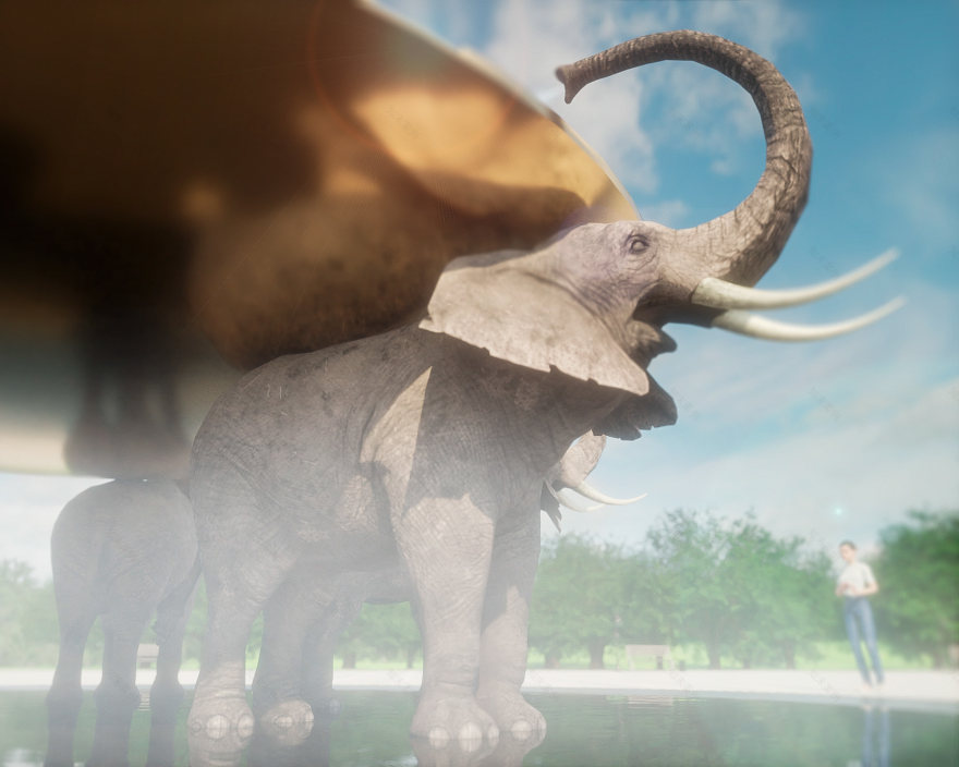 巨型大象丨DION ART团队-5