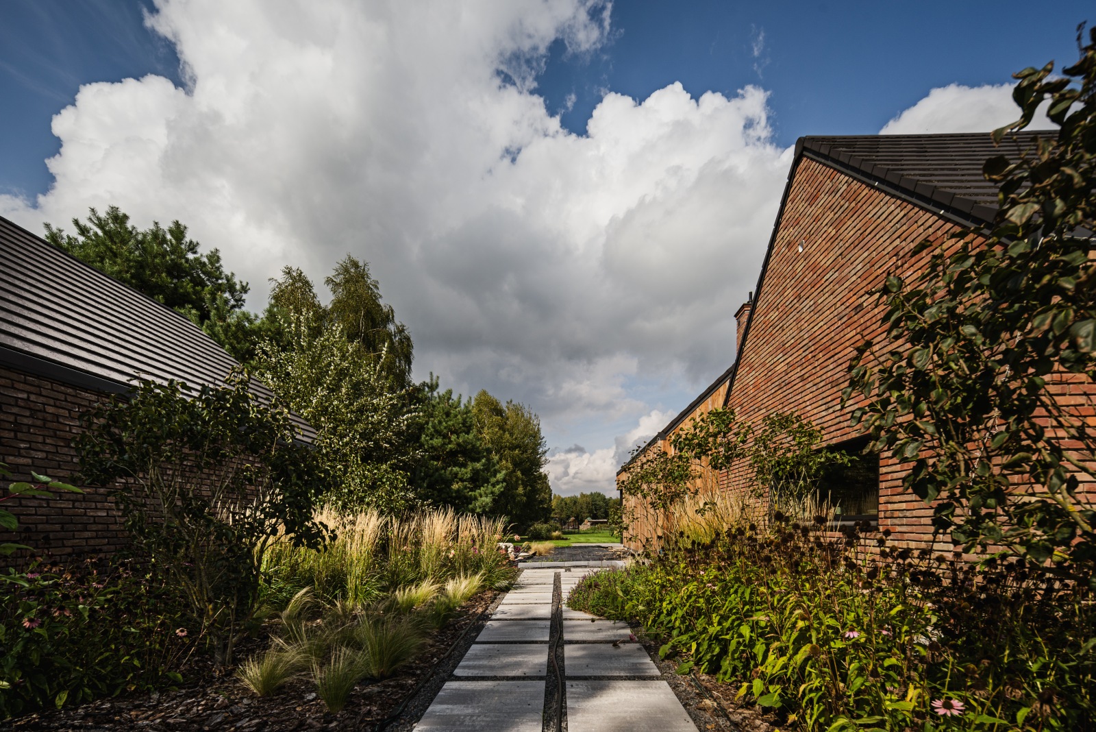 林下当代农场住宅丨Kunkiewicz Architekci-18