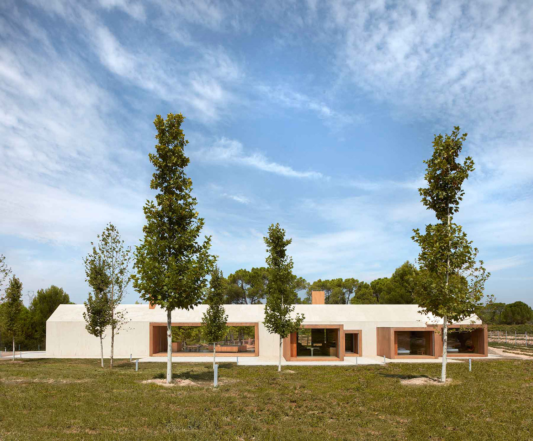 葡萄园小木屋,西班牙 / Ramón Esteve Estudio-70