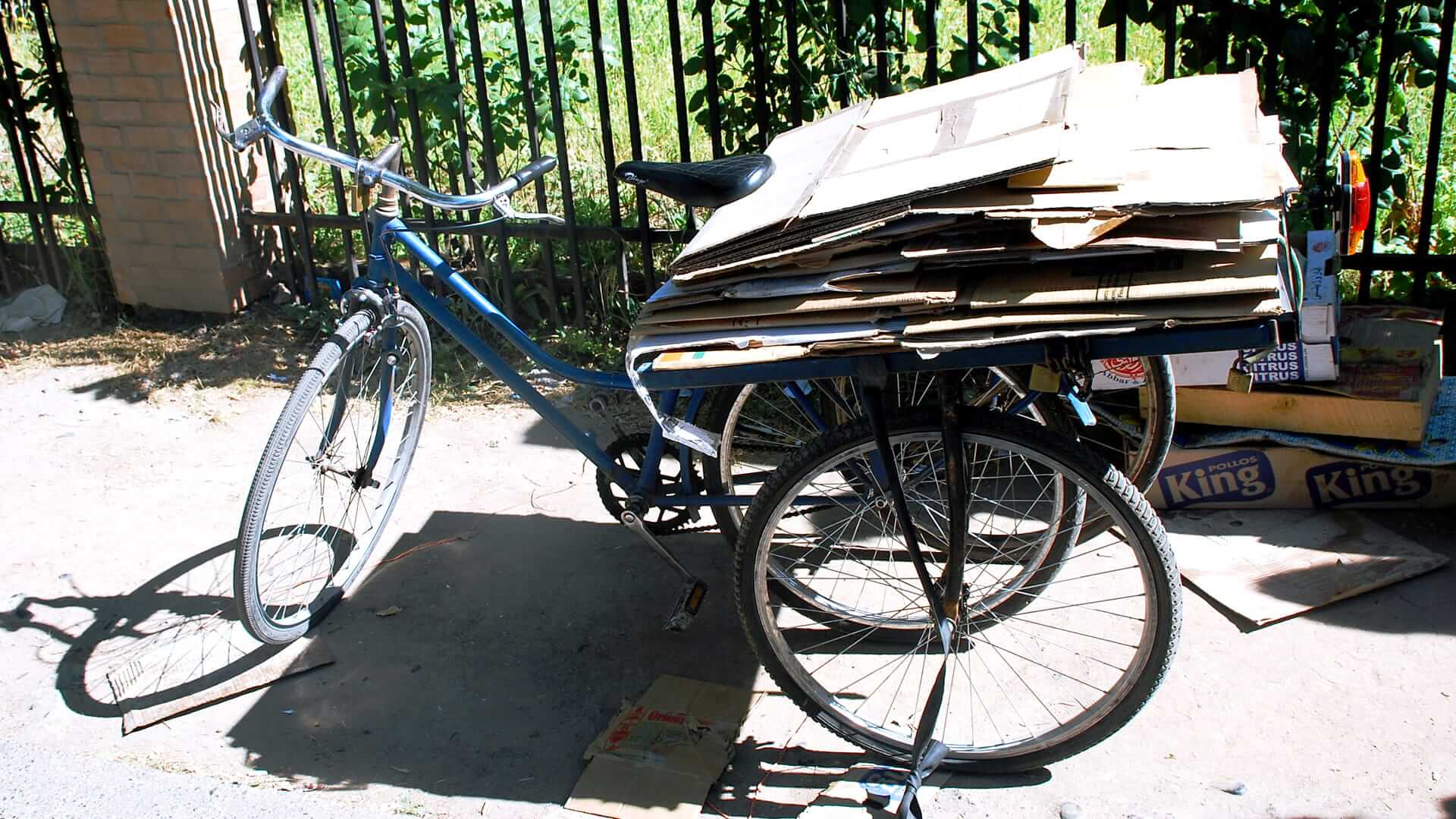 丨智利丨Zoohaus-14