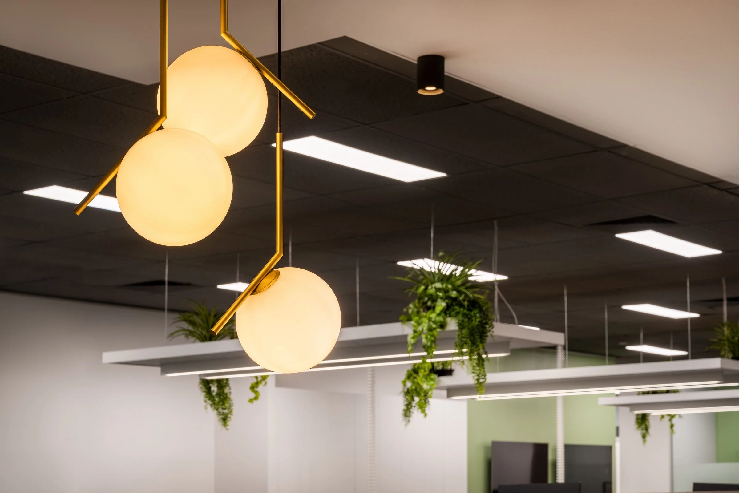 智慧就业 | 多彩空间助力残疾人融入职场-23