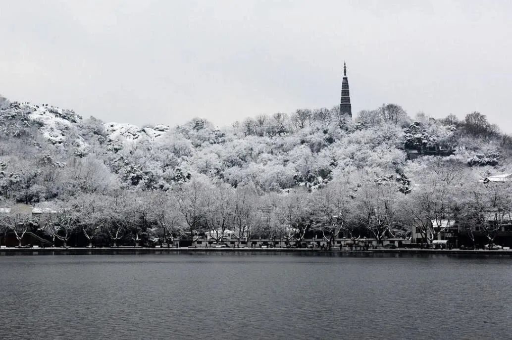 杭州中旅归锦府售楼处 | 透明、艺术与沉浸式的空间体验-10