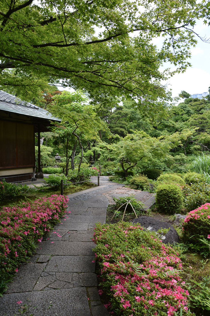 根津美术馆丨日本丨隈研吾-9