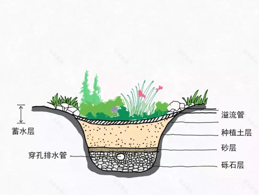 “海绵城市”建设 | 成都的绿色转型之路-28