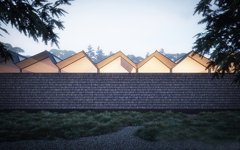 加州锯齿形屋顶的 Hendee·Borg 住宅-15