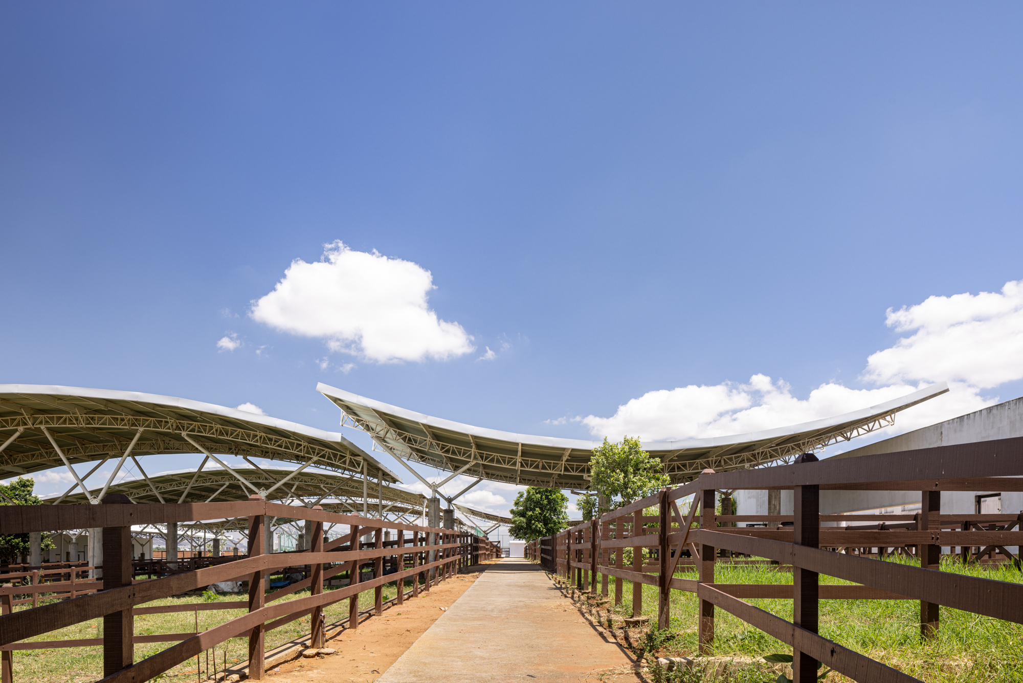 Unileão 兽医学院医院丨巴西丨Lins Arquitetos Associados-35