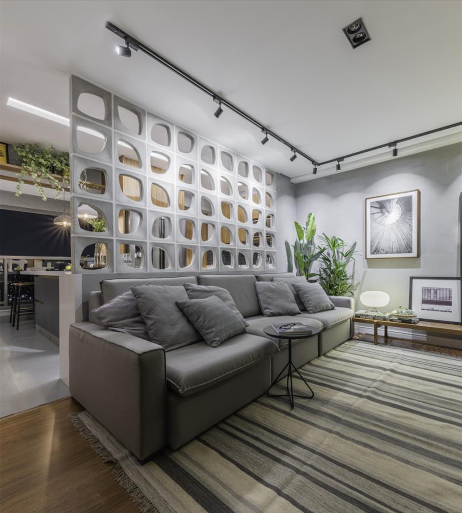 Ipiranga 公寓的创新设计-6