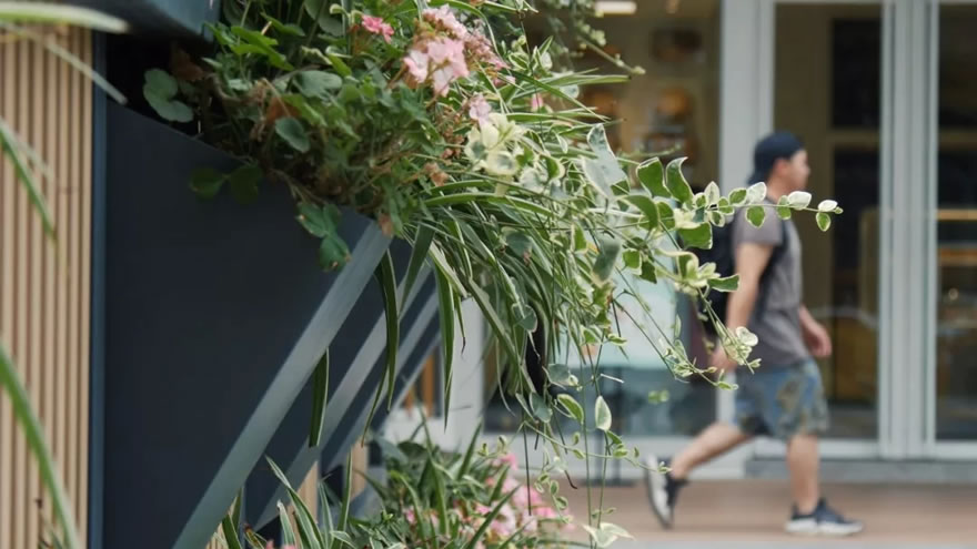 成都建发鹭洲里-19