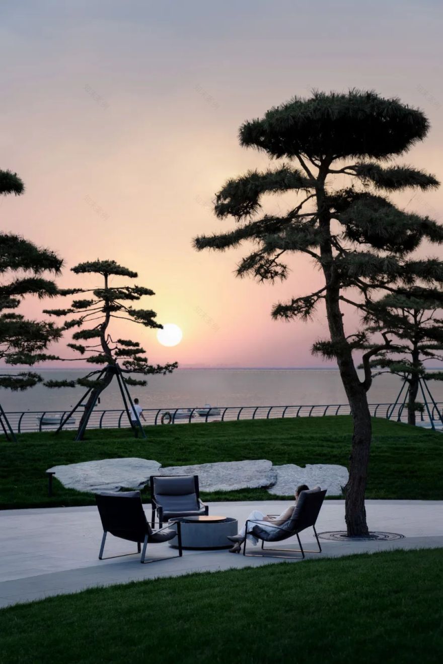 松林浪屿,海岸逐光丨青岛 · 云上观海-5