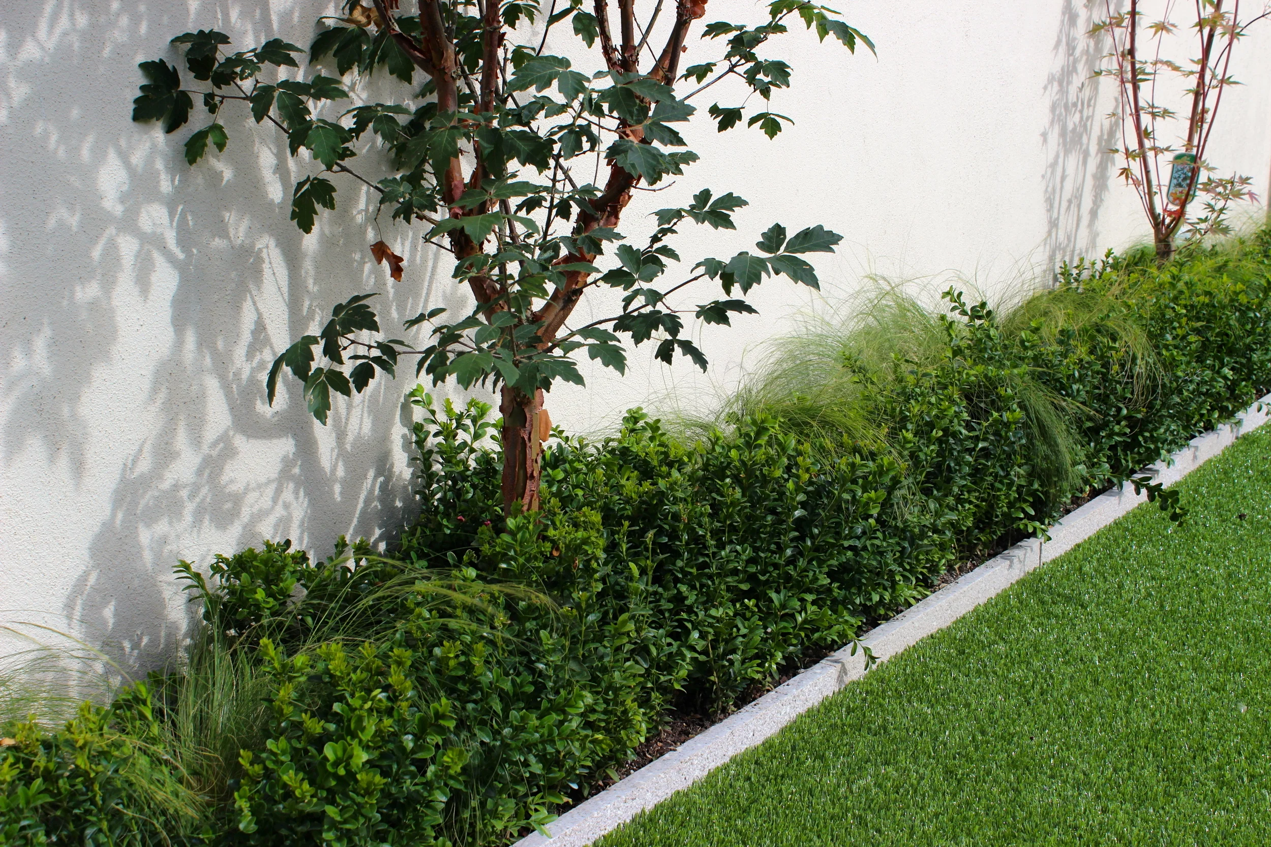 Templeogue Turf住宅后花园景观设计丨爱尔兰都柏林-16