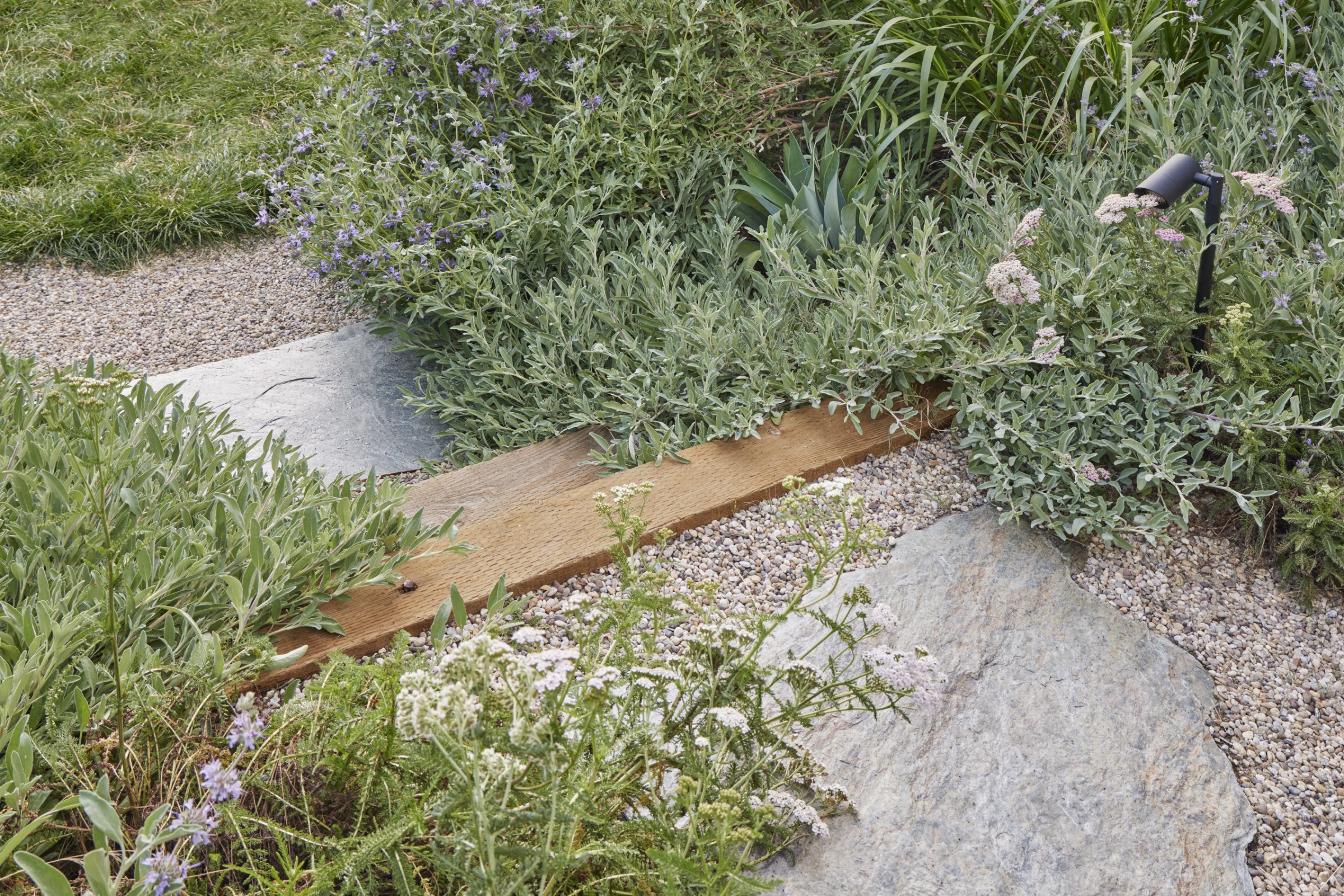 用时间酝酿，为孩子们创造的野趣花园丨美国丨TERREMOTO-16