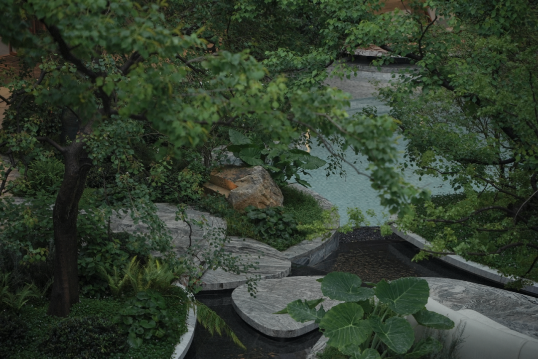 松弛岛屿|长沙招商·揽阅-31