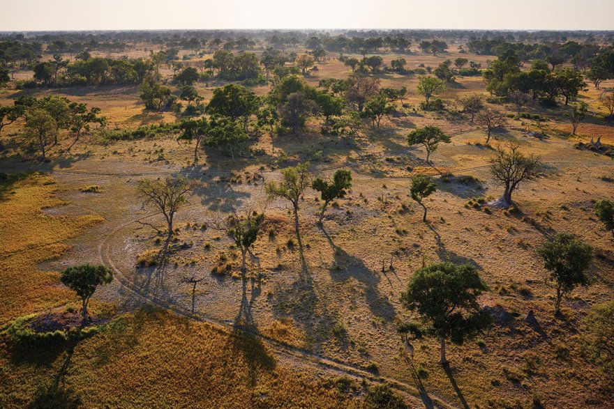 博茨瓦纳鹰岛小屋-20