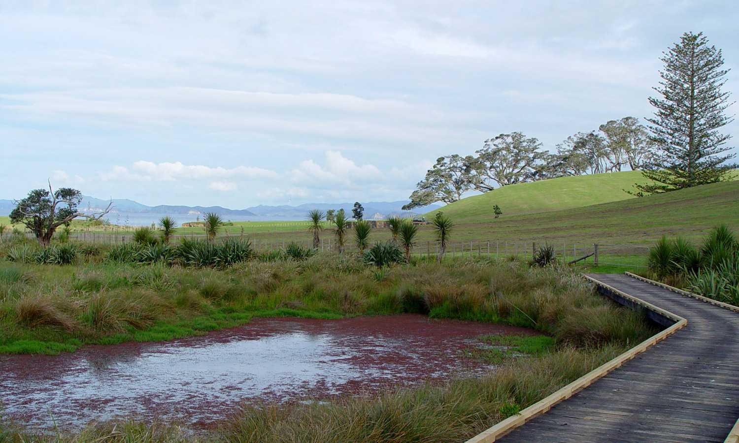 新西兰滨海绿地公园-12