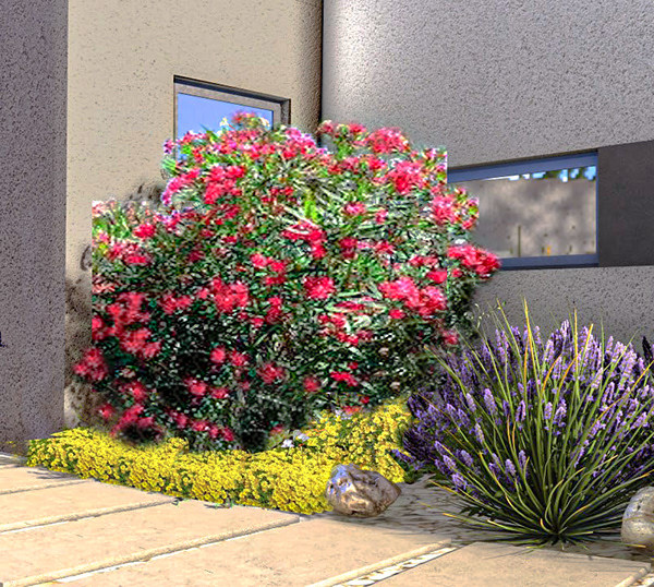 Projekt krajobrazne arhitekture – Otok Pašman-26