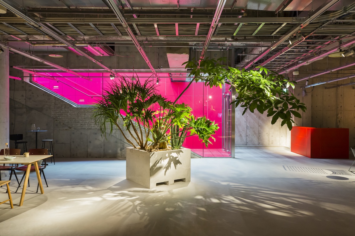 丨日本东京丨Jo Nagasaka,Schemata Architects-12