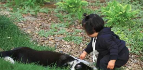 一家3口逃离都市，包下30亩地爆改老房子，有人开车2小时只为在这睡一觉-30