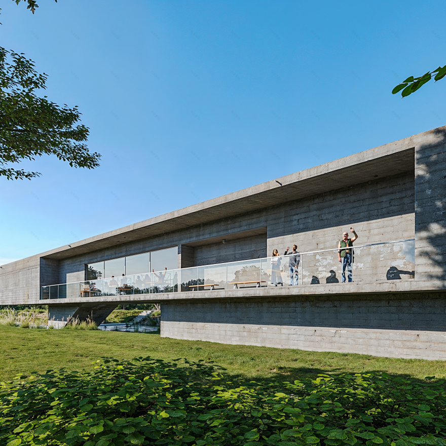 Swan Lake(天鹅湖)-6