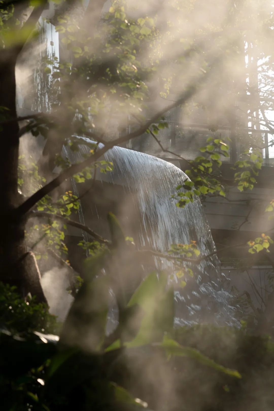 笛东臻品|抱朴山林无界剧场-西安招商·梧桐书院-23