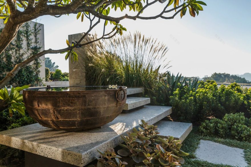 Floreat景观,Vodka Palace景观,小空间景观丨Tim Davies Landscaping-0