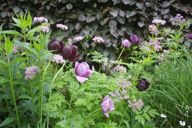 德普莱纳的小菜园丨德国柏林丨Büro Christian Meyer-6