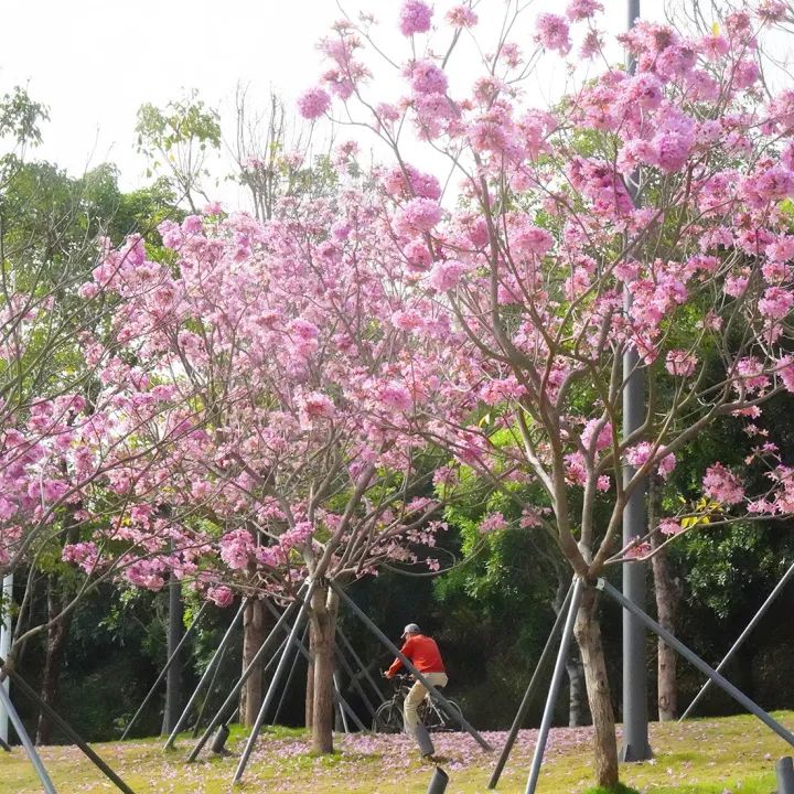 深圳中心河景观提升丨中国深圳丨深圳翰博设计股份有限公司-35