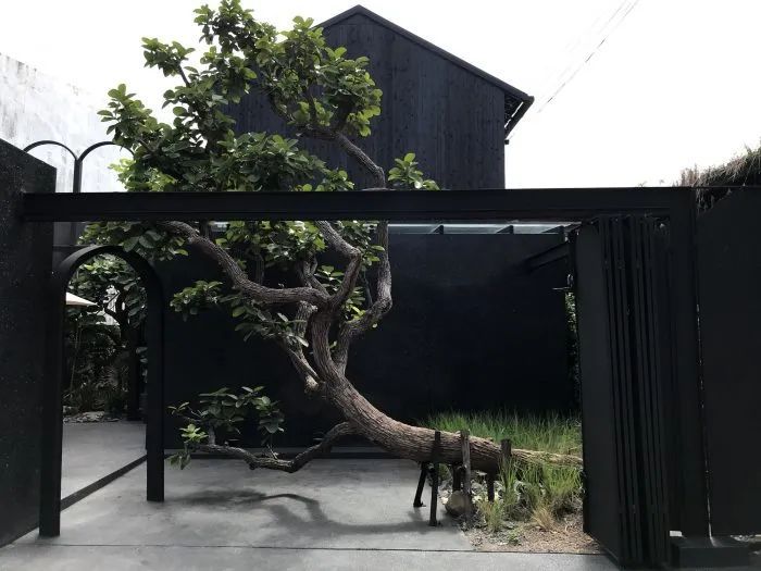 泰国 Kanut House 咖啡厅 | 现代奢华融入热带雨林-27