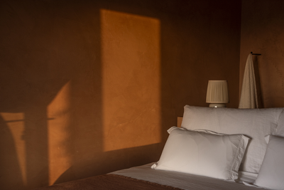 玫瑰岩别墅丨Manuel Aires Mateus-37