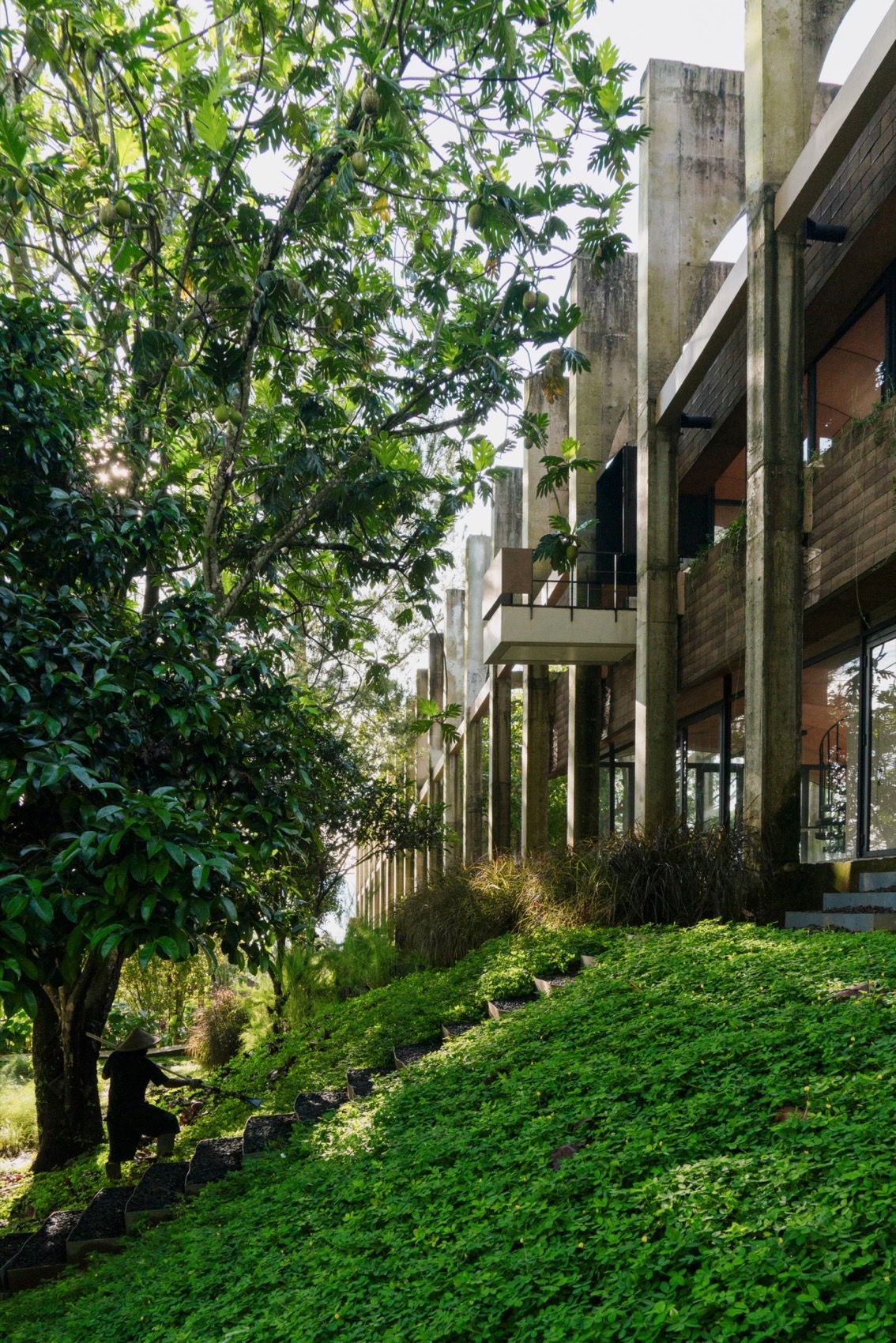 圣殿隧道花园丨印度丨RAD+AR-29