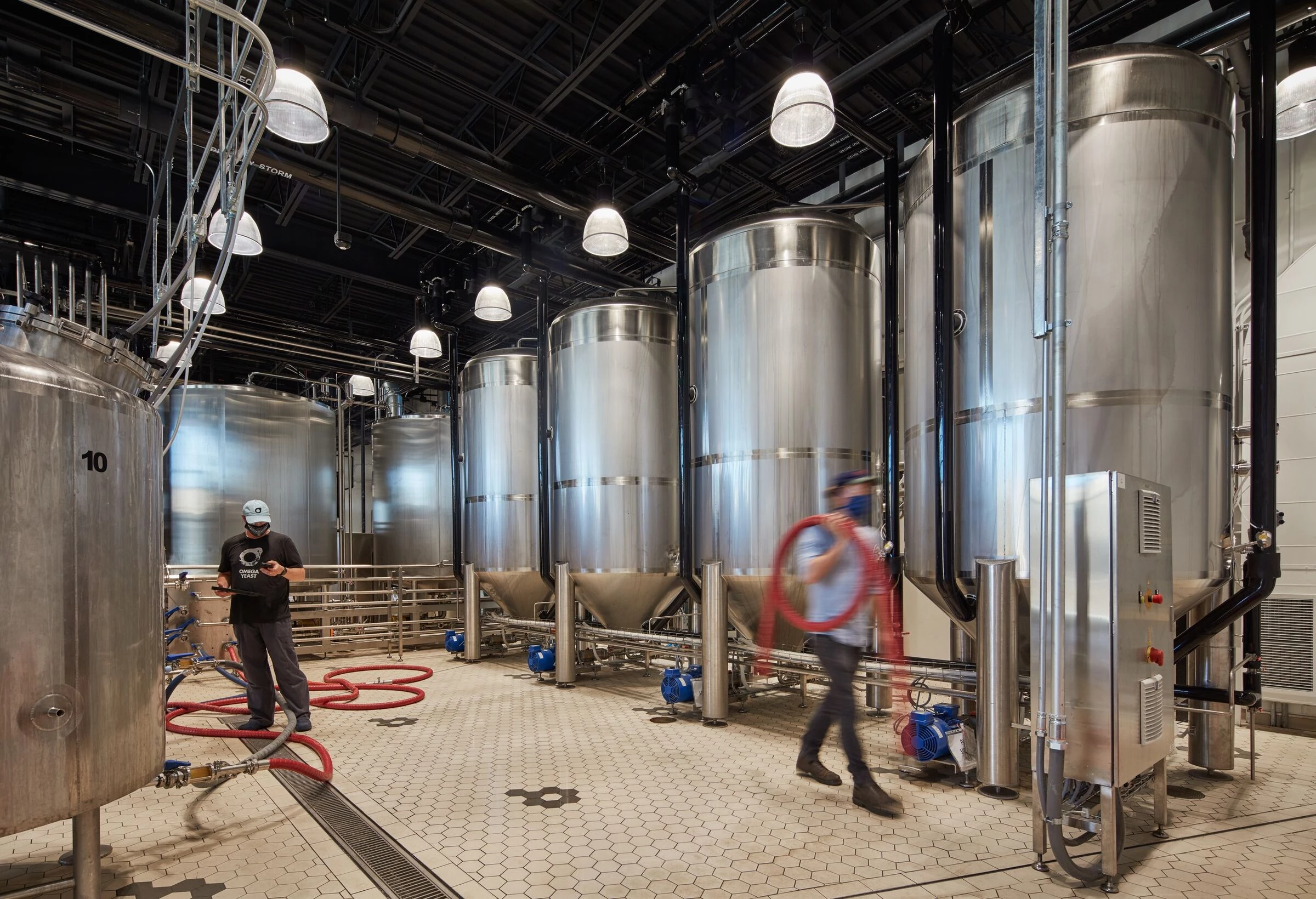 欧米茄酵母丨美国芝加哥丨Valerio Dewalt Train-23