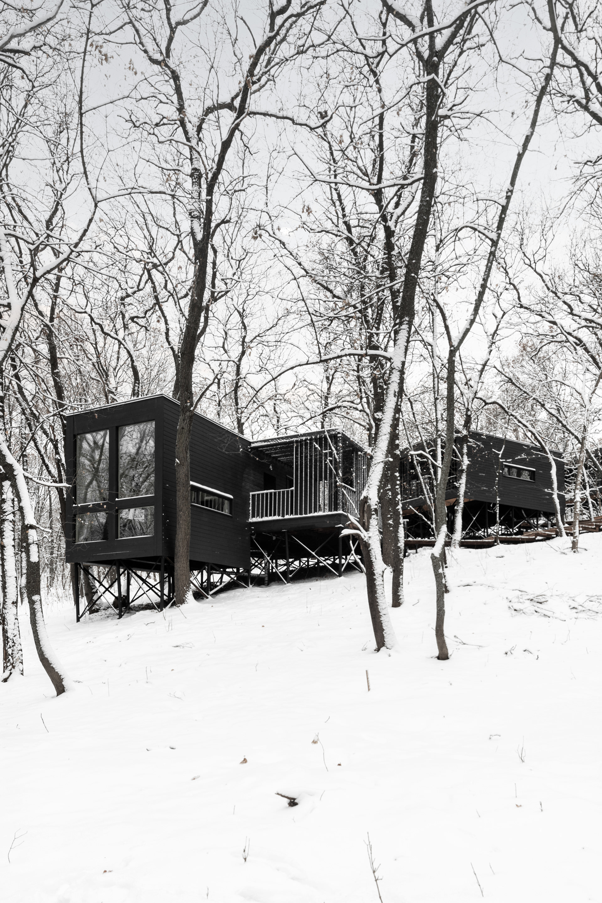 Турбаха ХОЛМ, SAAS Architects, 2025-12