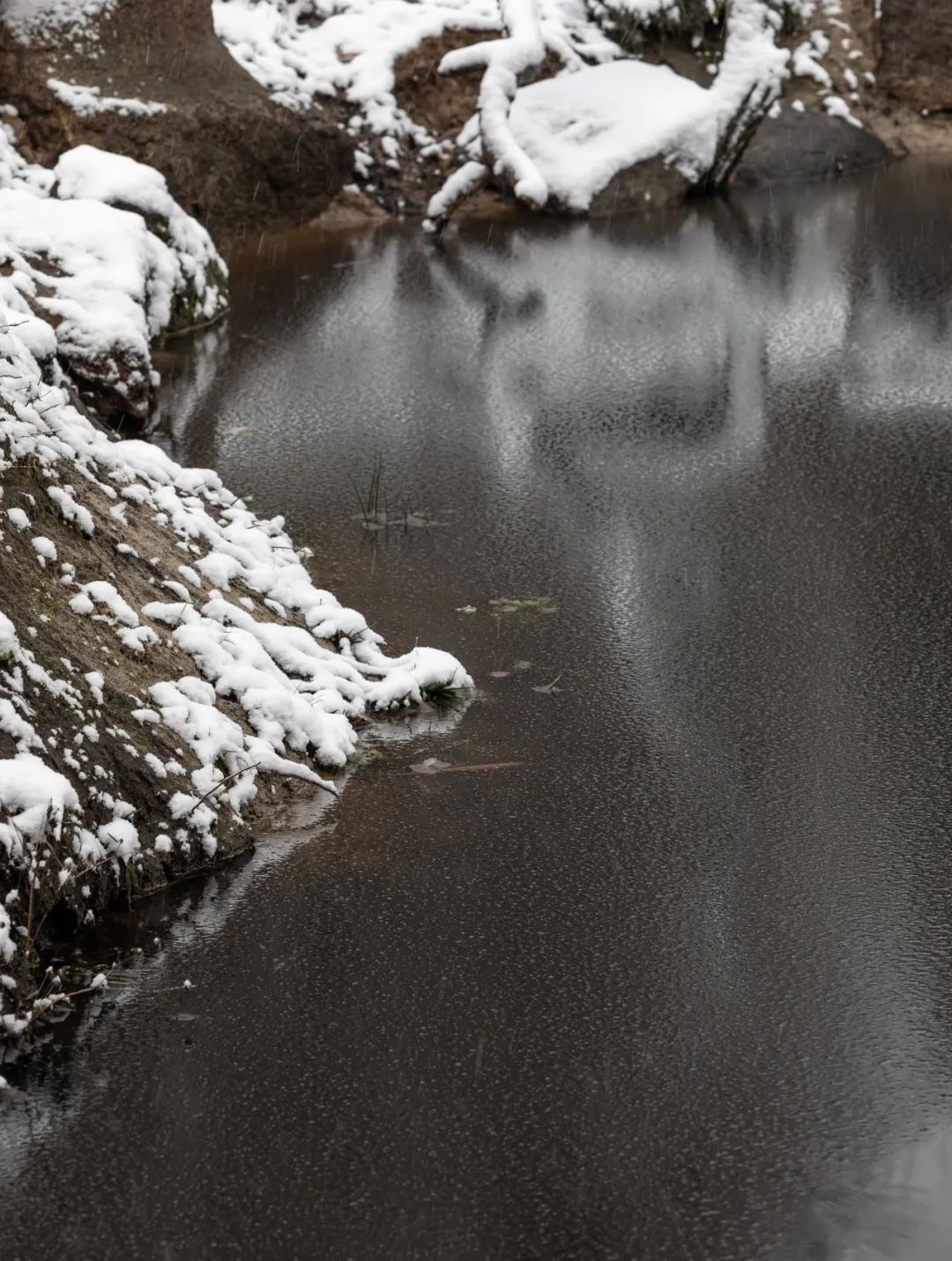 乌克兰 Shkrub 住宅丨Serhii Makhno-65